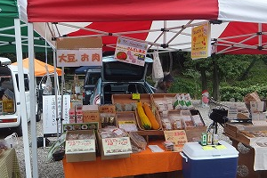 201606241431_dk8tm