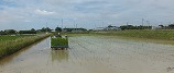 田園風景